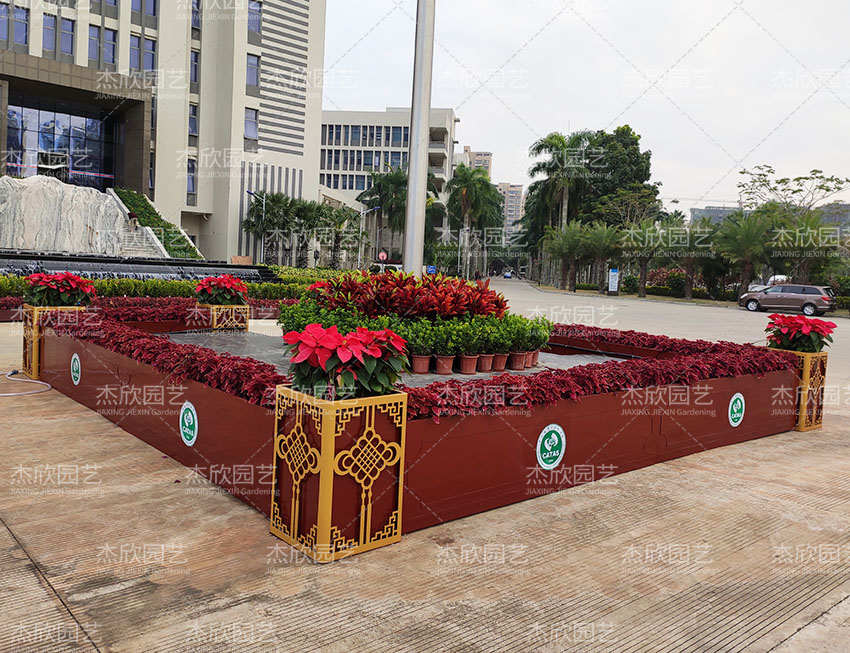 杰欣花箱全國游！