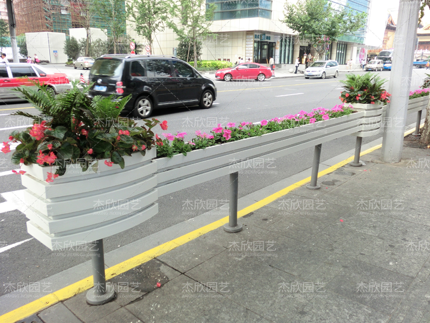 花箱適合種什么植物？