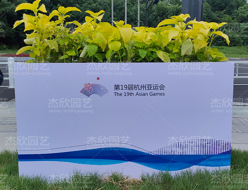 亞運(yùn)核心圖形花箱潤(rùn)澤花箱