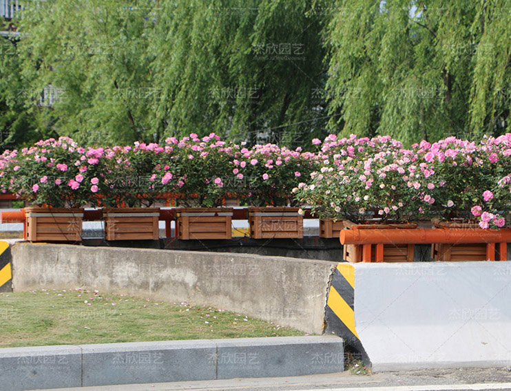 不銹鋼花箱有哪些功能？